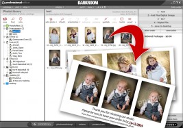 Building a Custom Proof Template.
